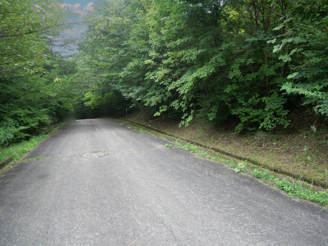 エンゼルフォレスト那須②の前面道路含む現地写真|(西側)