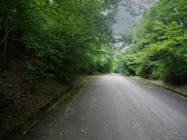 エンゼルフォレスト那須②の前面道路含む現地写真|(西側)