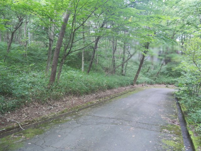 那須バケイションランド①の前面道路含む現地写真|南側