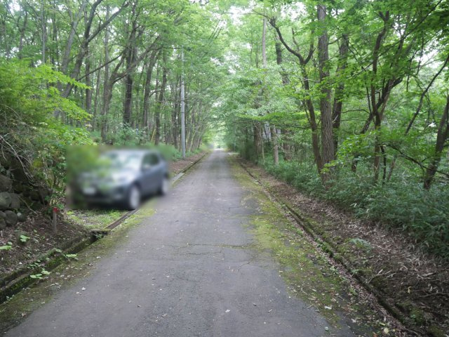 那須バケイションランド①の前面道路含む現地写真|北側
