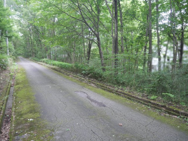 那須バケイションランド②の前面道路含む現地写真