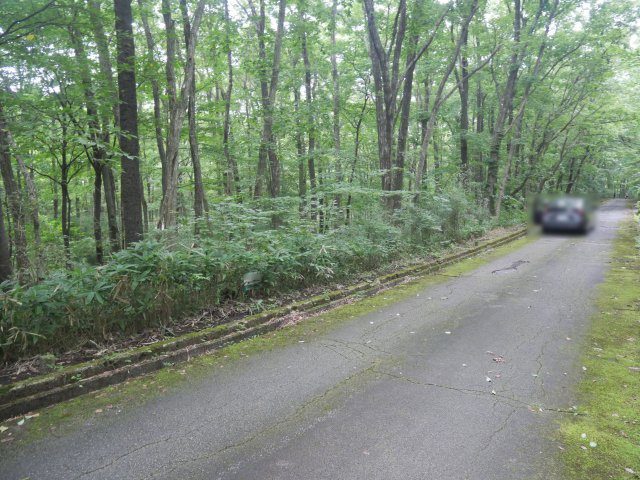 那須バケイションランド②の前面道路含む現地写真