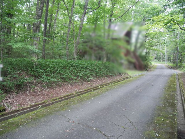 那須バケイションランド③の前面道路含む現地写真