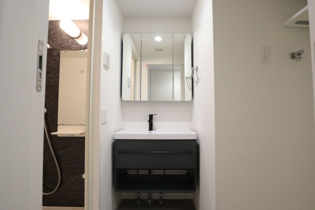 セレニテ江坂グランデの洗面所