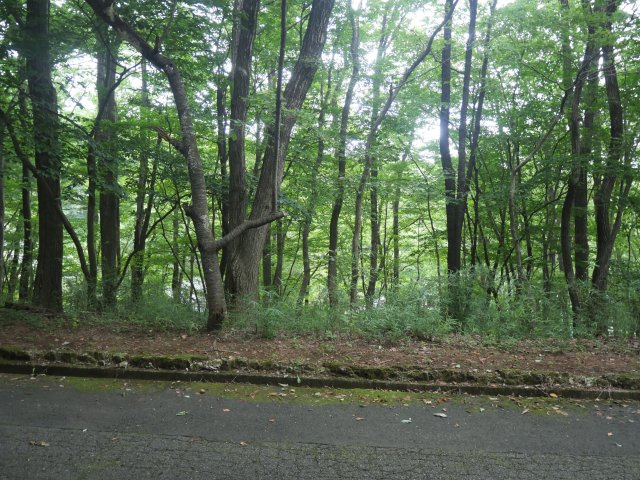 那須バケイションランド④の外観