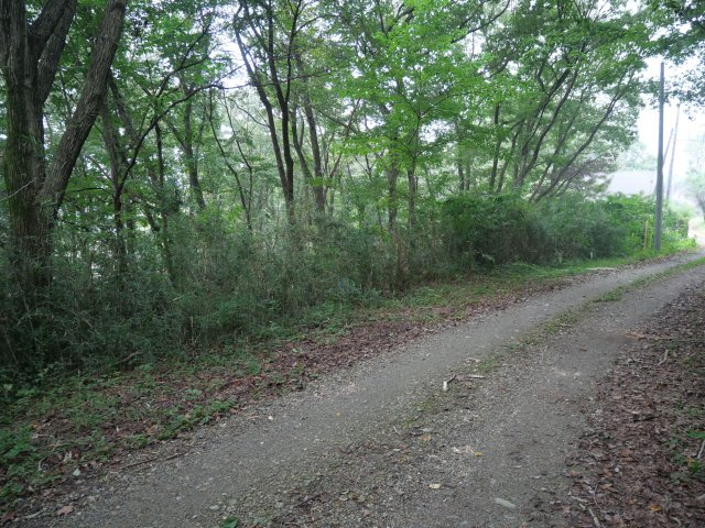 トーカン那須別荘地①の前面道路含む現地写真