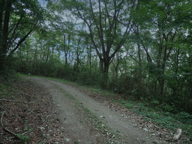 トーカン那須別荘地①の前面道路含む現地写真