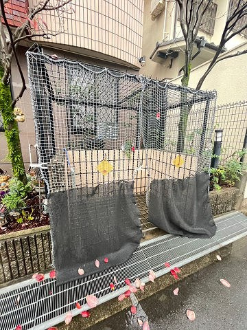 ディーシモンズの外観