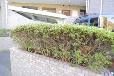 【庭】 | ライオンズマンション本厚木第２ | 物件によっては、入居者が個人的に使用できる専用庭がついているものもあります。また、住宅の中にある土間の部分を庭と呼ぶこともあります。庭の用途は住む人によって変わり、それによってデザインもさまざまです。