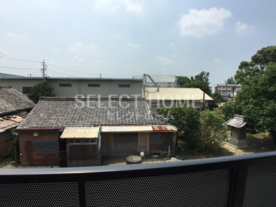 【展望】 | アンプルールリーブルガーネット