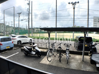 【展望】 | プレジールキニーネ