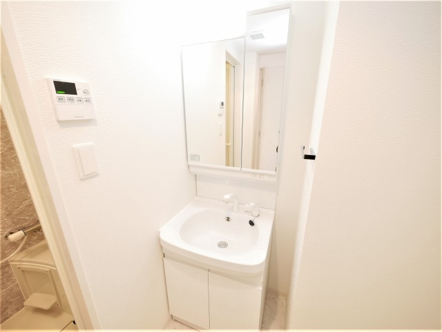 S-RESIDENCE新大阪Ridenteの洗面所