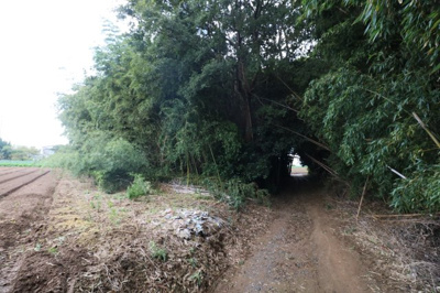 【外観】 | 西岐波・吉田原（地目・山林）389坪 | 現地（2024年11月29日撮影）