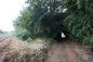 西岐波・吉田原（地目・山林）389坪の画像