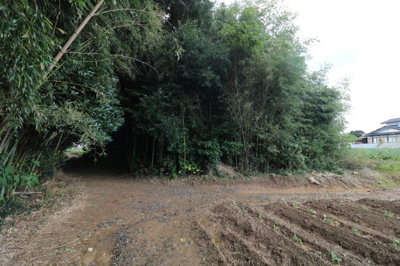 【外観】 | 西岐波・吉田原（地目・山林）389坪 | 現地（2024年11月29日撮影）