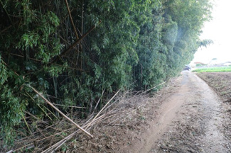 【前面道路含む現地写真】 | 現地（2024年11月29日撮影）