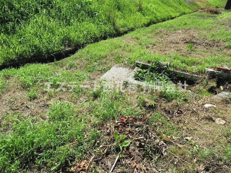 花巻市上根子法領　土地の外観|西側に水が湧き出ている所があります。