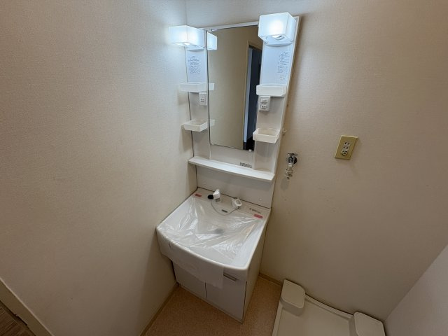 ヴィユー歌敷山の洗面所