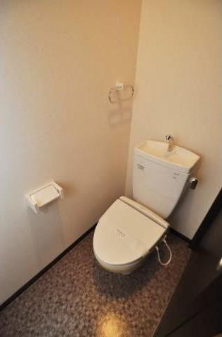 maision de la grue那の川のトイレ|清潔感のあるトイレです。