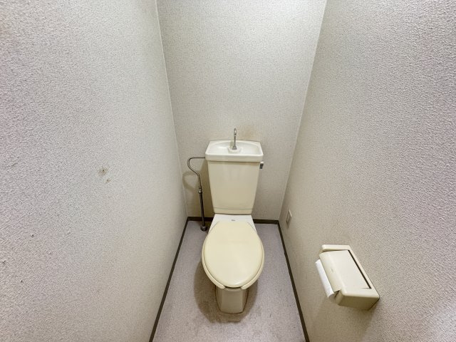 ダイカンプラザ のトイレ