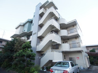 川崎市多摩区菅稲田堤１丁目のマンションの画像