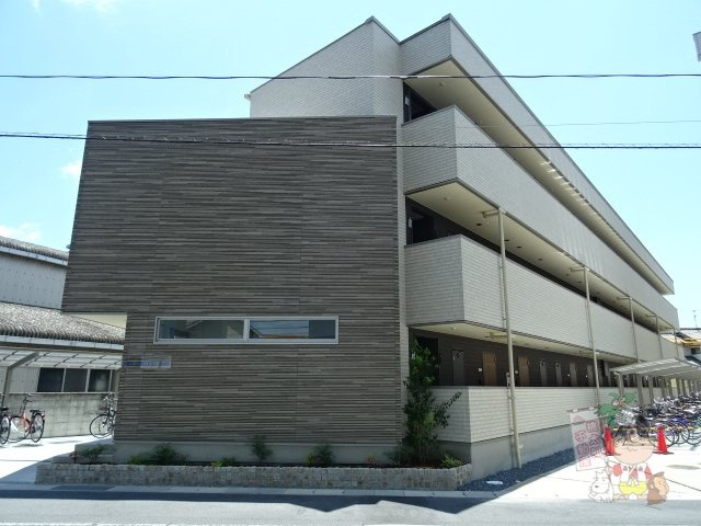 ＨＩＬＬ　ＣＯＬＬＥＧＥ　ＤＵＯ