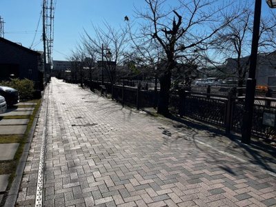 【周辺】 | 太田市本町　和モダン平家 | 前面道路は桜並木です☆