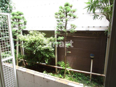 【展望】 | ハイランドイントチノキ