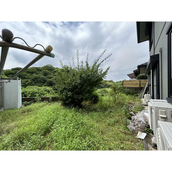 【庭】 | お庭もついております。