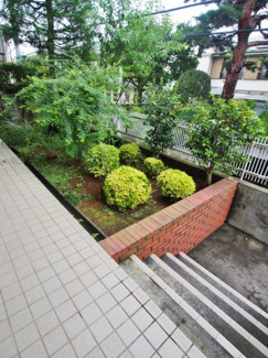 【その他共用部分】 | 鮮やかな緑たちが癒しをくれます♪