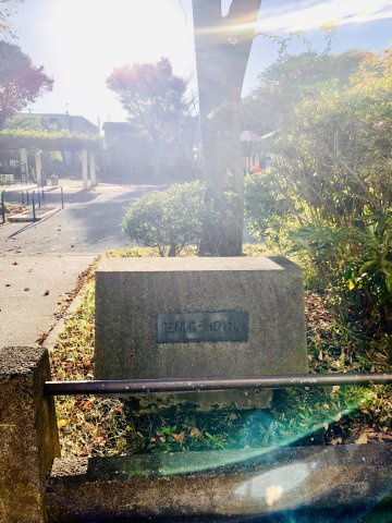 一級建築士とコラボ♪The Renovation Style♪の周辺|玄関を出ると目の前は公園があります