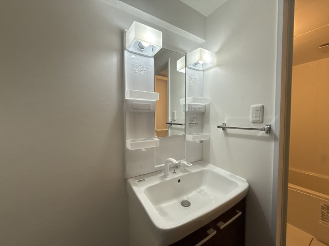 サンヒルズ岡田の洗面所