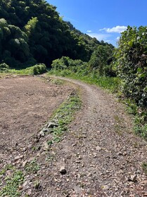 売土地の前面道路含む現地写真