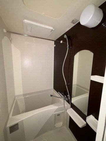 Luxe難波西Ⅲの浴室