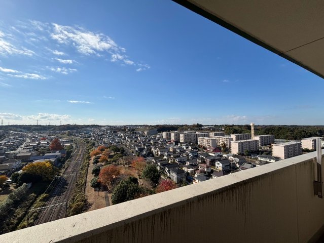 アルテガーデンの展望