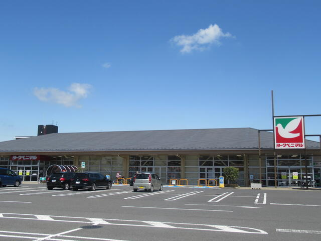 宇都宮市泉が丘6丁目　181.98㎡　売地の周辺|ヨークベニマル泉が丘店まで249m