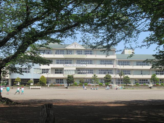 宇都宮市泉が丘6丁目　181.98㎡　売地の外観|宇都宮市立泉が丘小学校まで414m