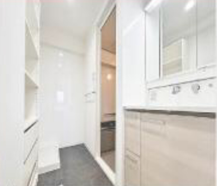 パークハウス新松戸311の洗面所