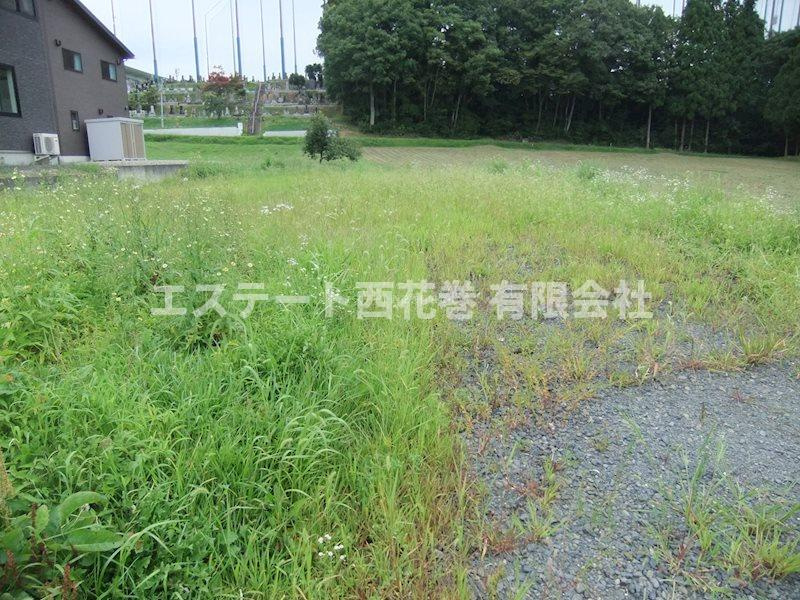 白山長根　Aの外観