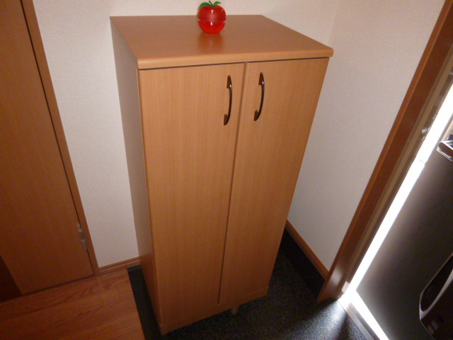 倉敷市中庄のアパートの玄関|シューズボックス