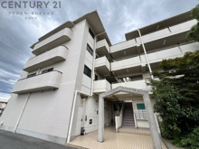 グレースキトラの画像