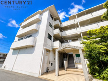 グレースキトラの画像