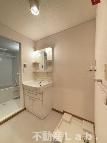 エクセルハウスの洗面所