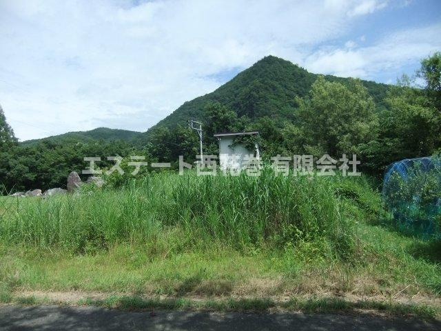 花巻市湯口字佐野　土地の外観