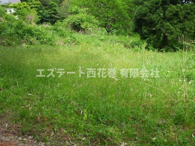 花巻市湯口洗沢　土地の外観