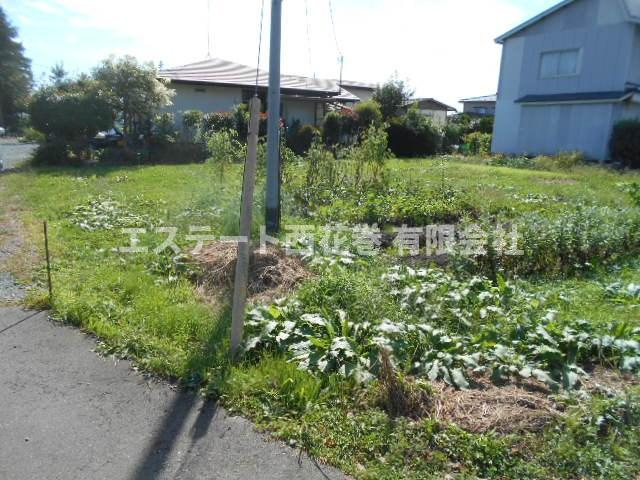 花巻市西宮野目第1地割　土地の外観