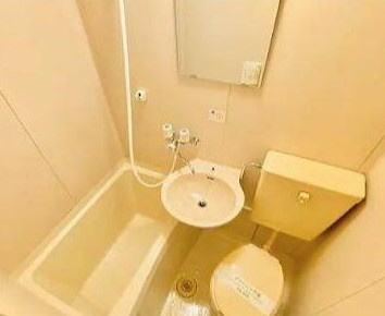 ジュネス・ハイムの洗面所