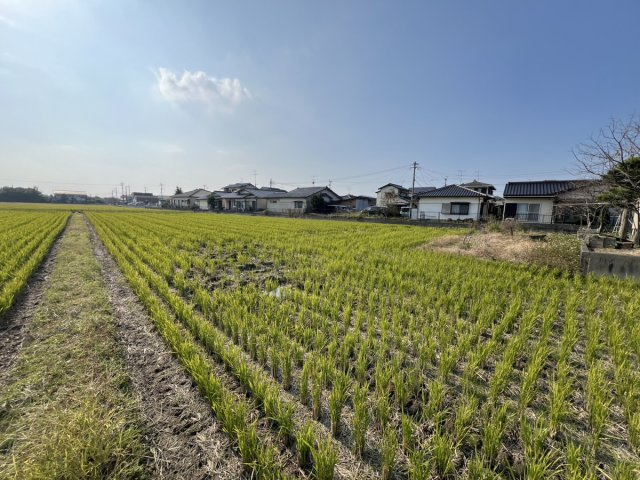 上野町売土地の外観