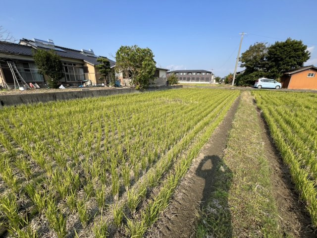 上野町売土地の外観
