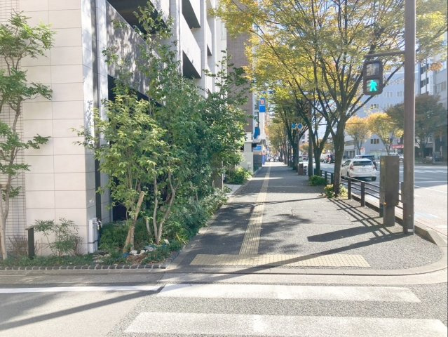 クリオ渡辺通アーバンマークスの周辺|前面道路です！